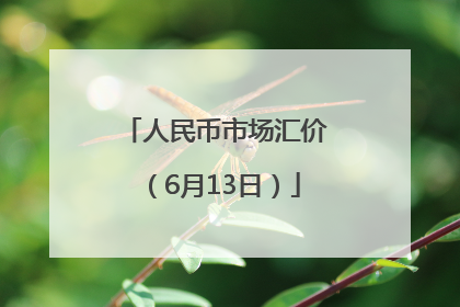 人民币市场汇价（6月13日）