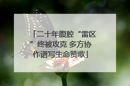 二十年腹腔“雷区”终被攻克 多方协作谱写生命赞歌