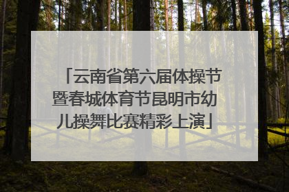 云南省第六届体操节暨春城体育节昆明市幼儿操舞比赛精彩上演