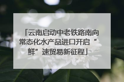云南启动中老铁路南向常态化水产品进口开启“鲜”速贸易新征程