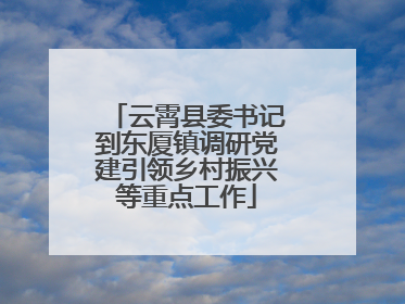 云霄县委书记到东厦镇调研党建引领乡村振兴等重点工作