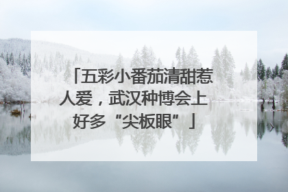 五彩小番茄清甜惹人爱，武汉种博会上好多“尖板眼”