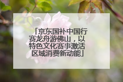 京东国补中国行赛龙舟游佛山，以特色文化赛事激活区域消费新动能