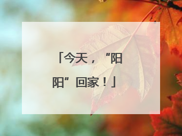 今天，“阳阳”回家！
