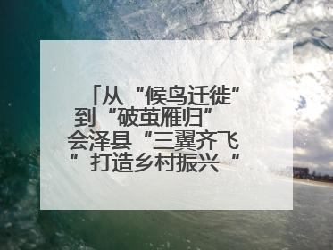 从“候鸟迁徙”到“破茧雁归” 会泽县“三翼齐飞”打造乡村振兴“创业雁阵”