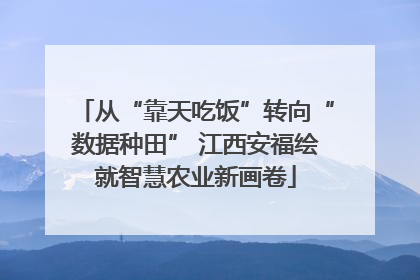 从“靠天吃饭”转向“数据种田” 江西安福绘就智慧农业新画卷