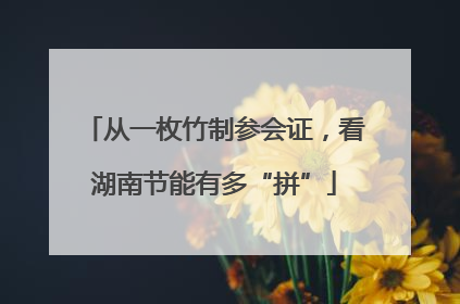 从一枚竹制参会证，看湖南节能有多“拼”