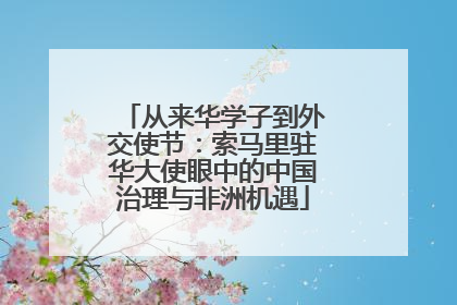 从来华学子到外交使节：索马里驻华大使眼中的中国治理与非洲机遇