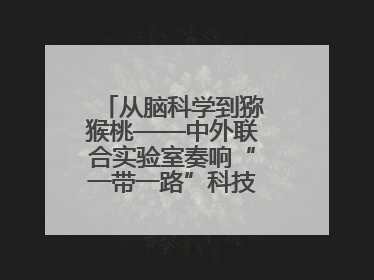 从脑科学到猕猴桃——中外联合实验室奏响“一带一路”科技合作交响曲