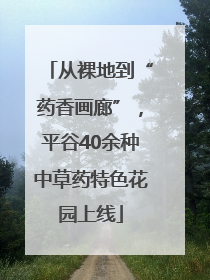从裸地到“药香画廊”，平谷40余种中草药特色花园上线