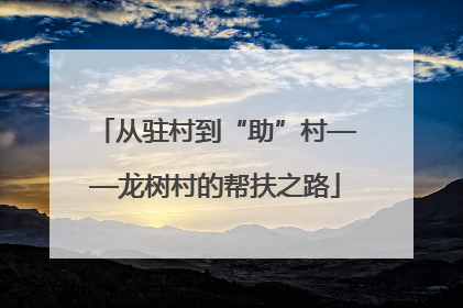 从驻村到“助”村——龙树村的帮扶之路