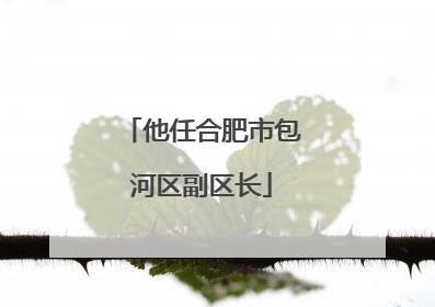 他任合肥市包河区副区长