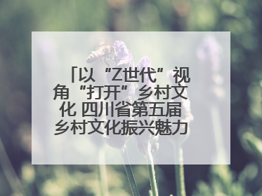 以“Z世代”视角“打开”乡村文化 四川省第五届乡村文化振兴魅力竞演大赛启动