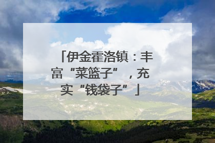 伊金霍洛镇：丰富“菜篮子”，充实“钱袋子”