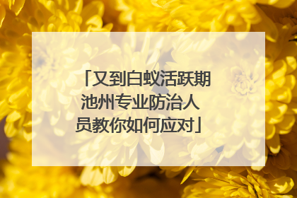 又到白蚁活跃期 池州专业防治人员教你如何应对