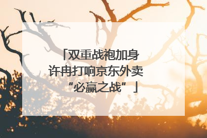 双重战袍加身 许冉打响京东外卖“必赢之战”