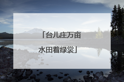 台儿庄万亩水田着绿裳