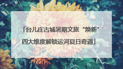 台儿庄古城暑期文旅“焕新” 四大维度解锁运河夏日奇遇