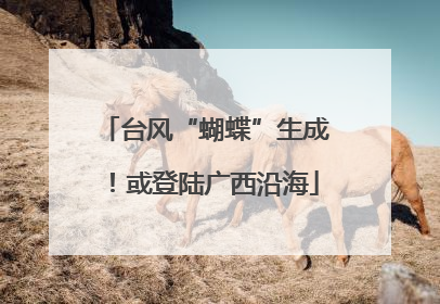 台风“蝴蝶”生成！或登陆广西沿海