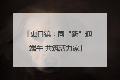 史口镇：同“新”迎端午 共筑活力家