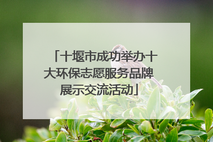 十堰市成功举办十大环保志愿服务品牌展示交流活动