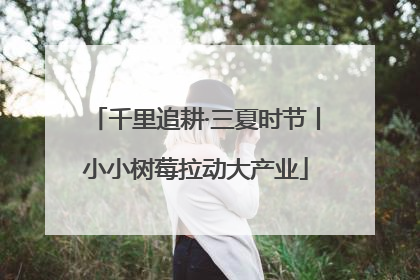 千里追耕·三夏时节丨小小树莓拉动大产业