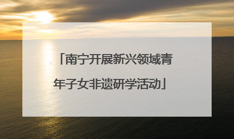 南宁开展新兴领域青年子女非遗研学活动