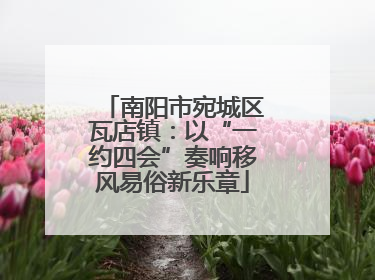南阳市宛城区瓦店镇：以“一约四会”奏响移风易俗新乐章