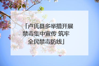 卢氏县多举措开展禁毒集中宣传 筑牢全民禁毒防线