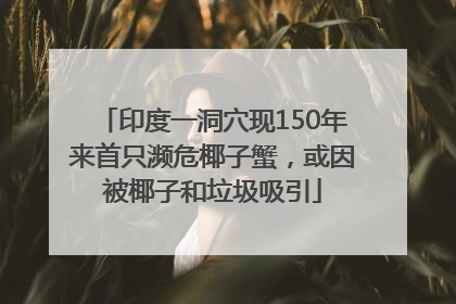 印度一洞穴现150年来首只濒危椰子蟹，或因被椰子和垃圾吸引