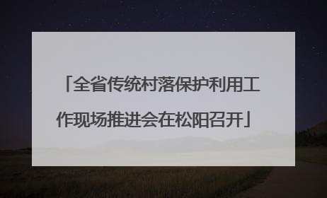 全省传统村落保护利用工作现场推进会在松阳召开