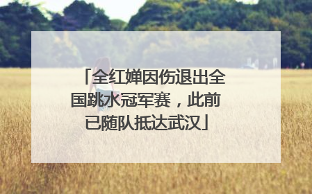 全红婵因伤退出全国跳水冠军赛，此前已随队抵达武汉