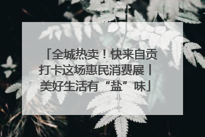 全城热卖！快来自贡打卡这场惠民消费展丨美好生活有“盐”味