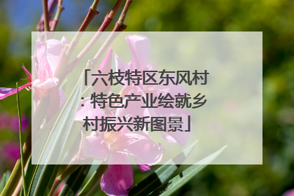 六枝特区东风村：特色产业绘就乡村振兴新图景