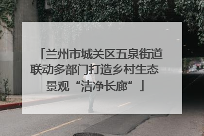 兰州市城关区五泉街道联动多部门打造乡村生态景观“洁净长廊”