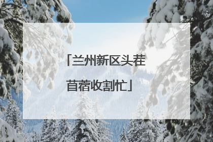 兰州新区头茬苜蓿收割忙