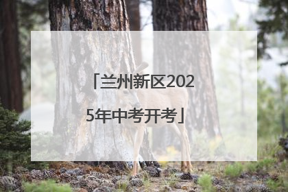 兰州新区2025年中考开考