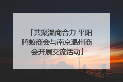 共聚温商合力 平阳腾蛟商会与南京温州商会开展交流活动