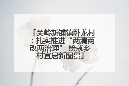 关岭新铺镇卧龙村：扎实推进“两清两改两治理” 绘就乡村宜居新图景