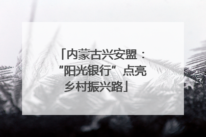 内蒙古兴安盟：“阳光银行”点亮乡村振兴路