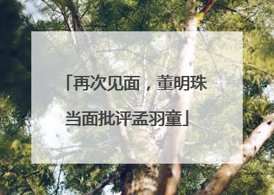 再次见面，董明珠当面批评孟羽童