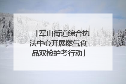 军山街道综合执法中心开展燃气食品双检护考行动