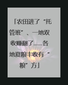 农田进了“托管班”、一地双收赚翻了……各地夏粮丰收有“粮”方