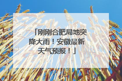 刚刚合肥局地突降大雨！安徽最新天气预报！