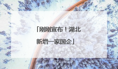 刚刚宣布！湖北新增一家国企