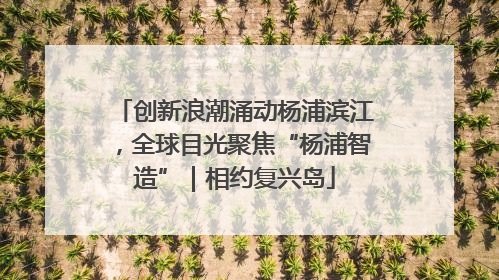 创新浪潮涌动杨浦滨江，全球目光聚焦“杨浦智造”｜相约复兴岛