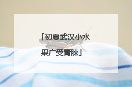 初夏武汉小水果广受青睐