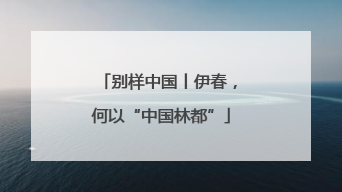 别样中国丨伊春，何以“中国林都”