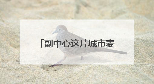 副中心这片城市麦田开始收割啦！“丰”景美如画~