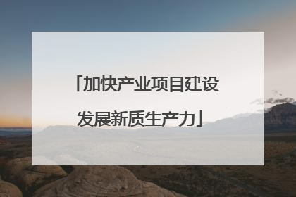 加快产业项目建设 发展新质生产力